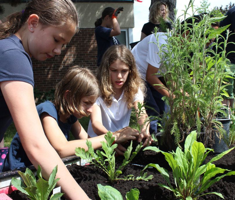 butterflyway-st-anthony-planting-kids Butterflyway Rangers at St. Anthony Catholic Elementary School