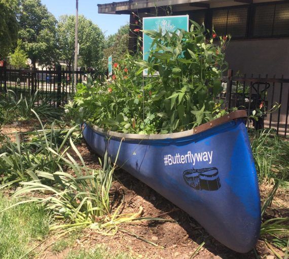 Butterflyway canoe planter