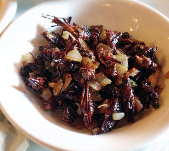 Chapulines, or grasshoppers