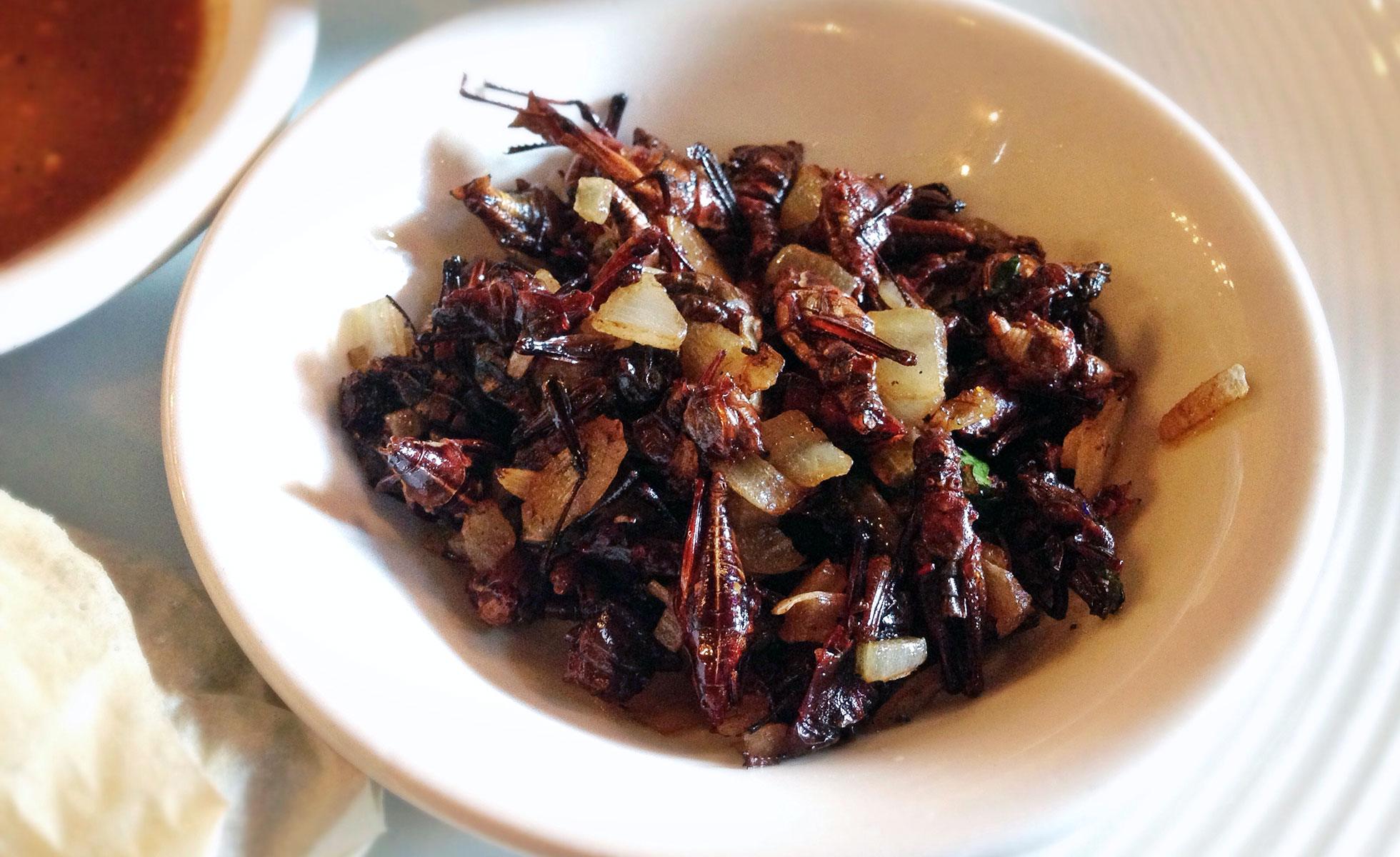 Chapulines, or grasshoppers