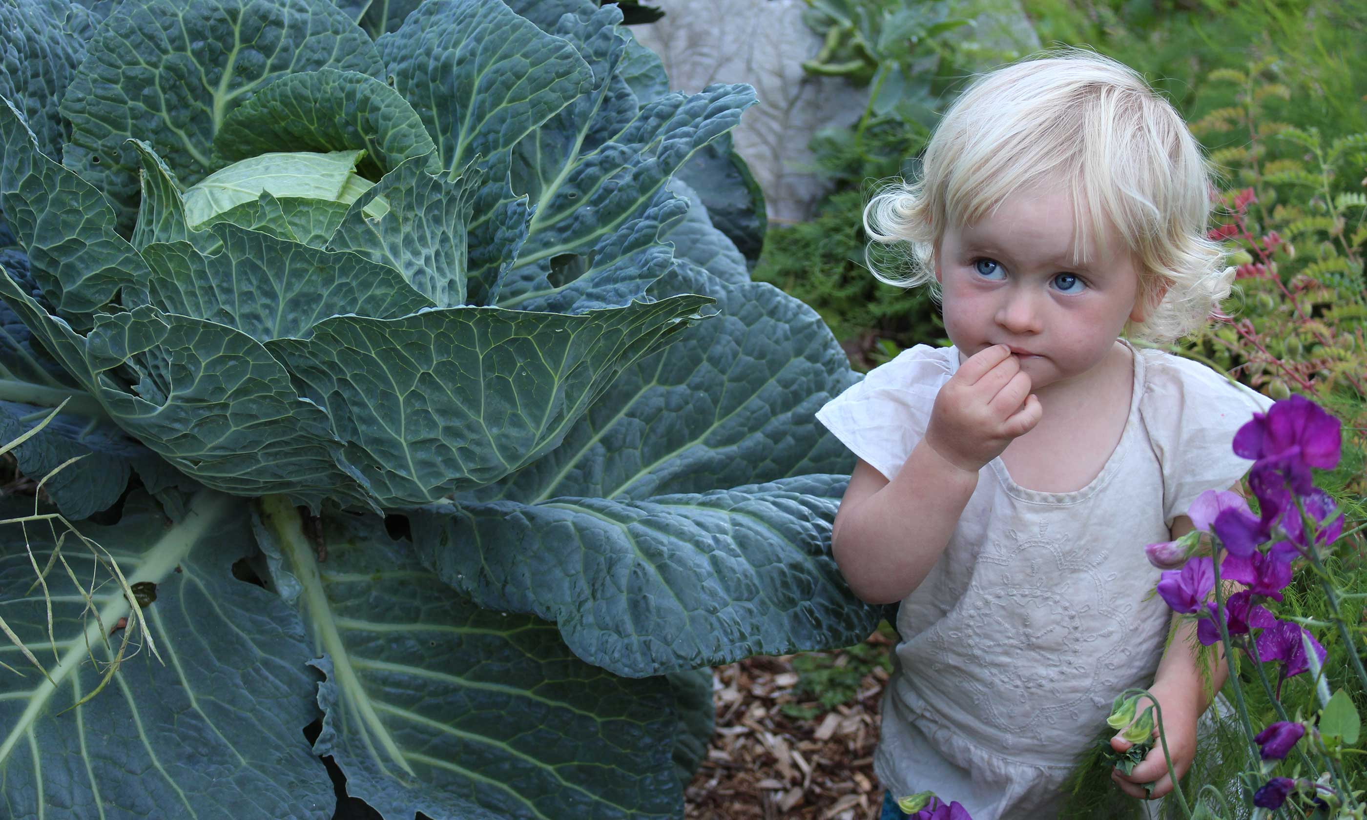 Child in a vegetable garden