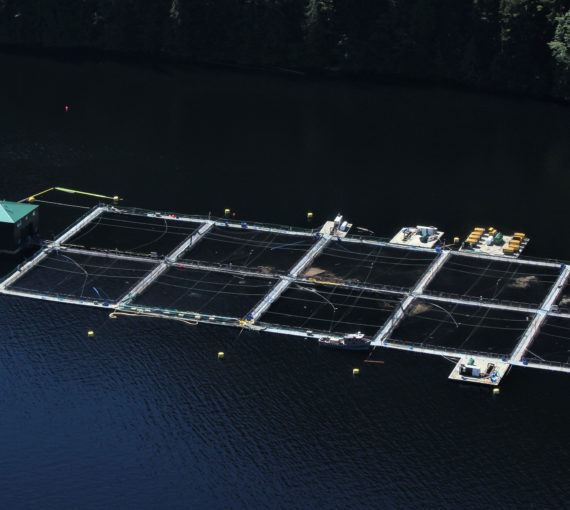 Open net-pen salmon farm