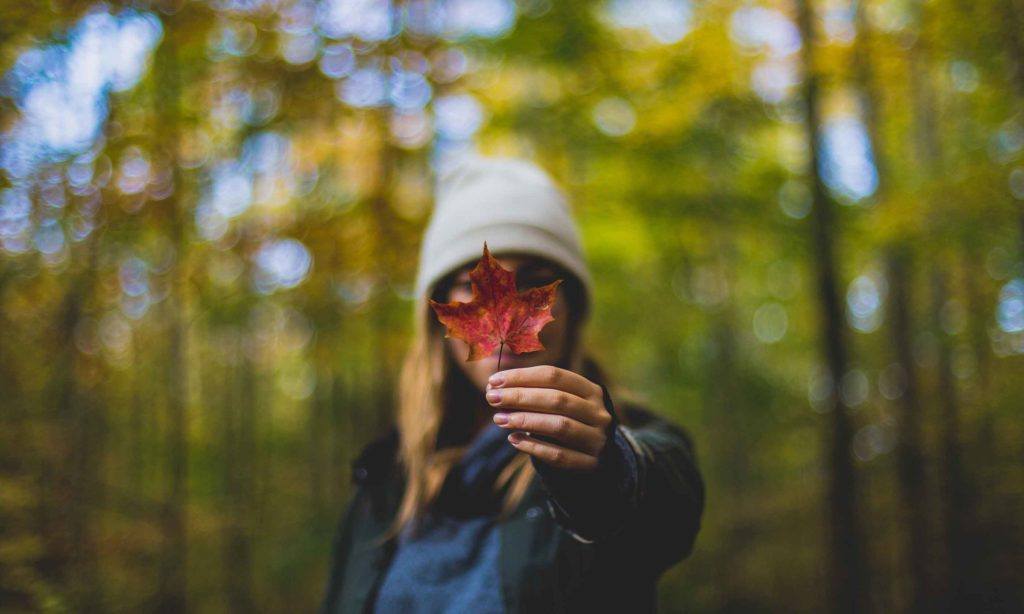 Woman in forest holding maple leaf