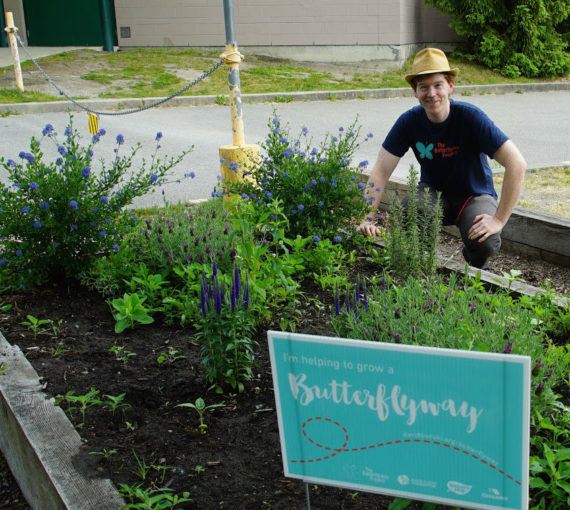 A Butterflyway Ranger next to a pollinator garden that's been planted