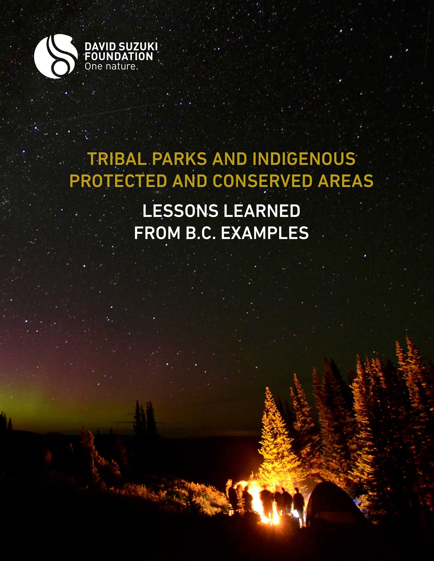 Tribal Parks and Indigenous Protected and Conserved Areas: Lessons ...