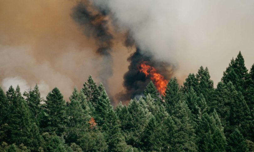 Climate change combines with other factors to fuel wildfires - David ...