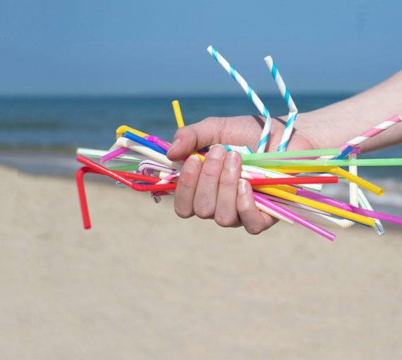 single-use plastics collected on a beach