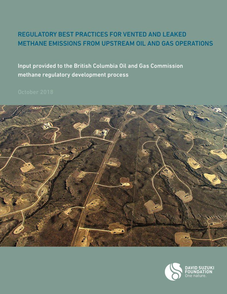 Regulatory Best Practices for Vented and Leaked Methane Emissions from ...