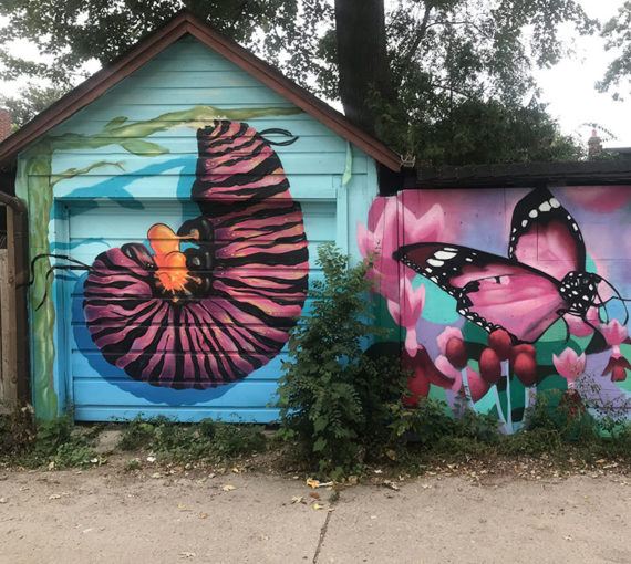Butterfly mural in a laneway