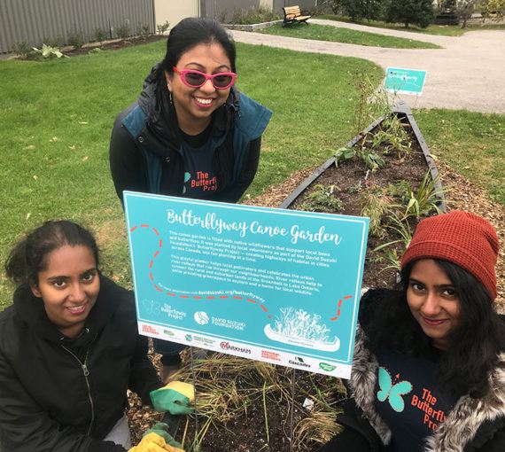 markham-wildflower-canoe-garden