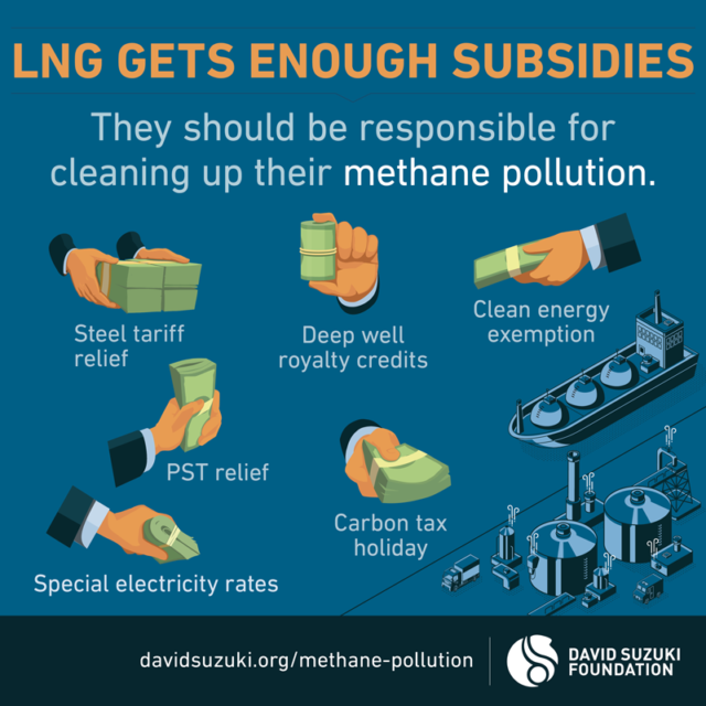 Too Many Subsidies In B.C. For Fracking Gas - David Suzuki Foundation