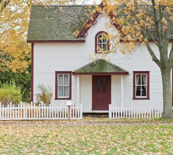 Lawn with leaves covering it