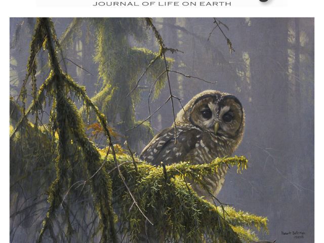 Conservation Status and Threats to Species Associated with Old