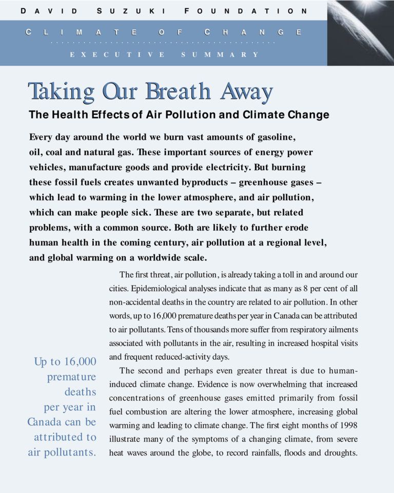 EXECUTIVE SUMMARY — Taking Our Breath Away The Health Effects of Air