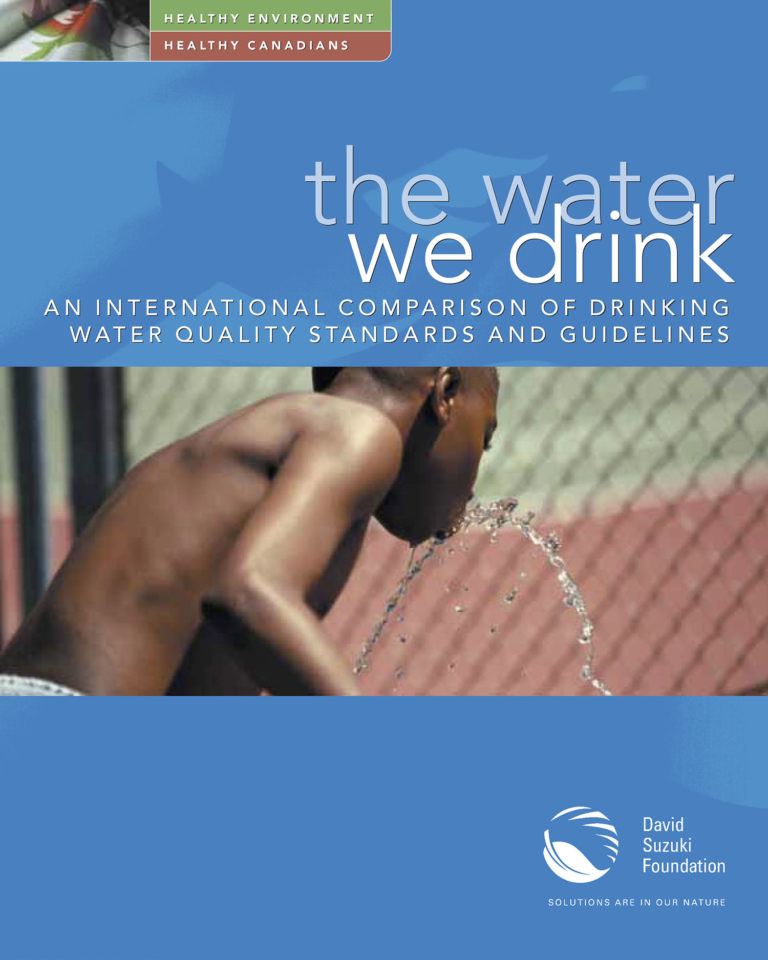 The Water We Drink An International Comparison Of Drinking Water Standards And Guidelines 1916