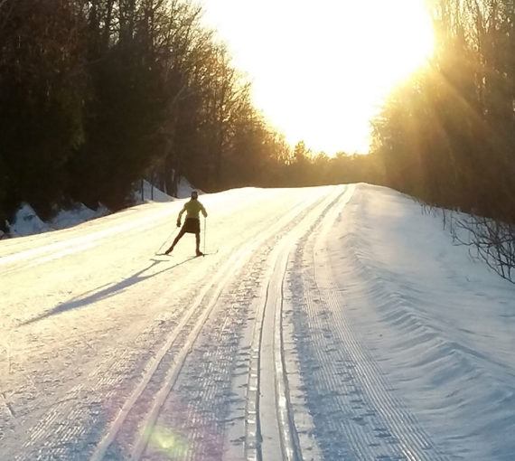 Pippa cross-country skiing at sunset