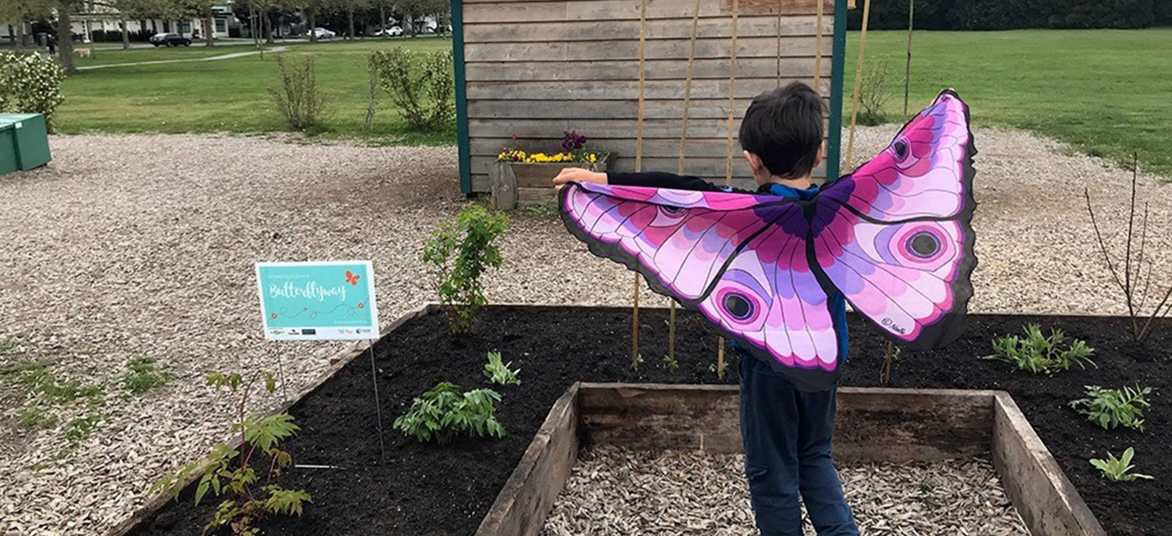 Quilchena Elementary school student wearing butterfly wings in the garden