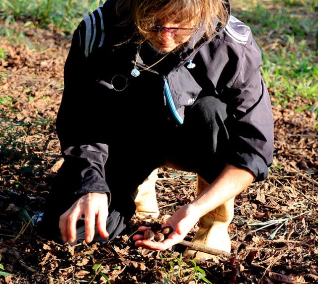 How to source native seeds and plants David Suzuki Foundation