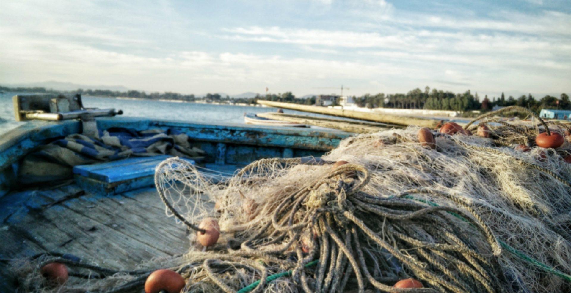 Fish Trap How poor labelling undermines efforts to make fisheries sustainable David Suzuki