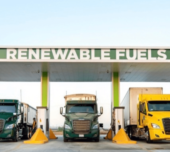 Caution for renewable fuels