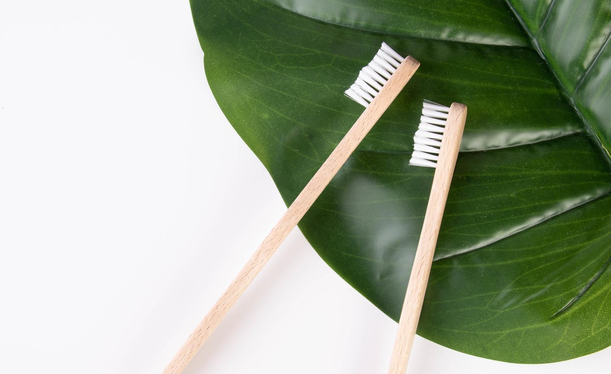 Two bamboo toothbrushes on a tropical plant leaf