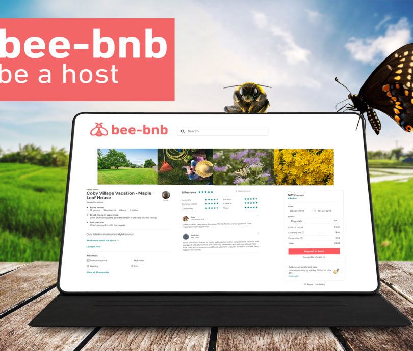 bee-bnb-computer