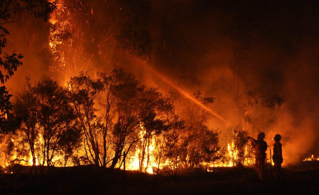 cessnock bushfire firefighters