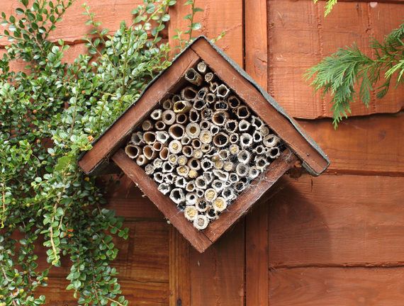 Bee house mounted to a wall