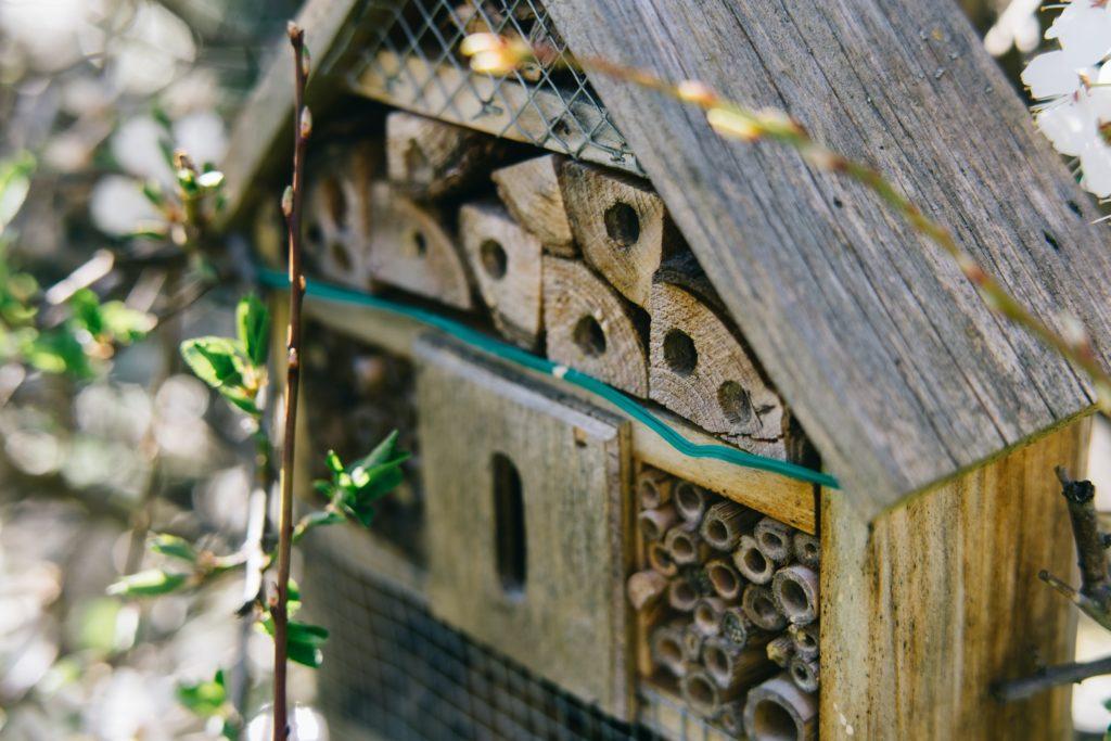 wooden home for pollinators on a fence