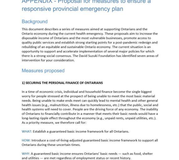 DSF-ON-emergency-response-recommendations-06-2020
