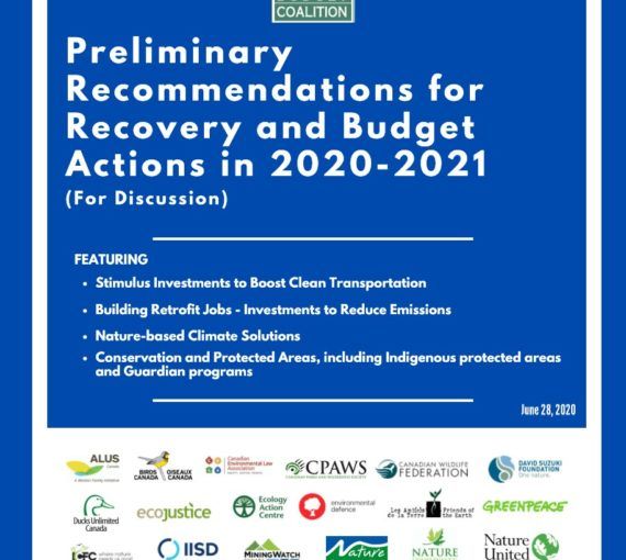 Green-Budget-Coalitions-Preliminary-Recommendations-Recovery-Budget-Actions-20-21