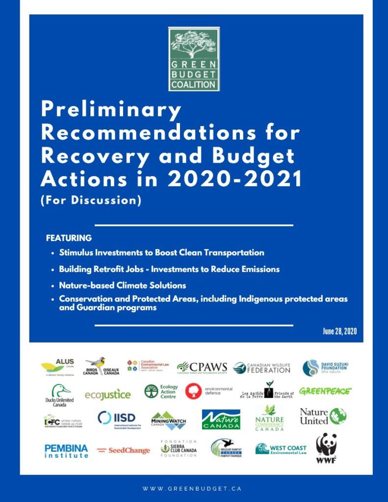 Preliminary recommendations for recovery and budget actions in 2020