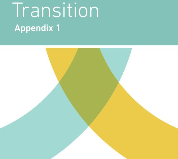 DSF Talking Transition Appendix 1