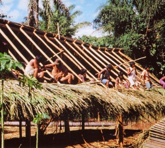 1992 - Amazon Reseach Station