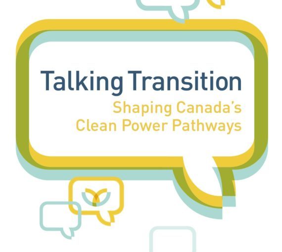 DSF Talking Transition Report 2020