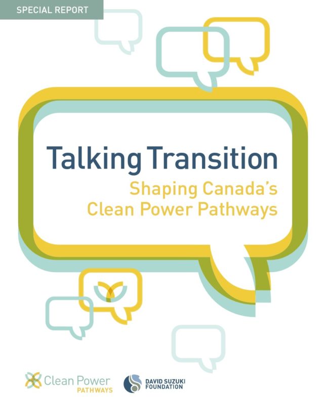 DSF Talking Transition Report 2020