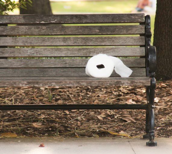 Toilet paper roll in the forest on a bench