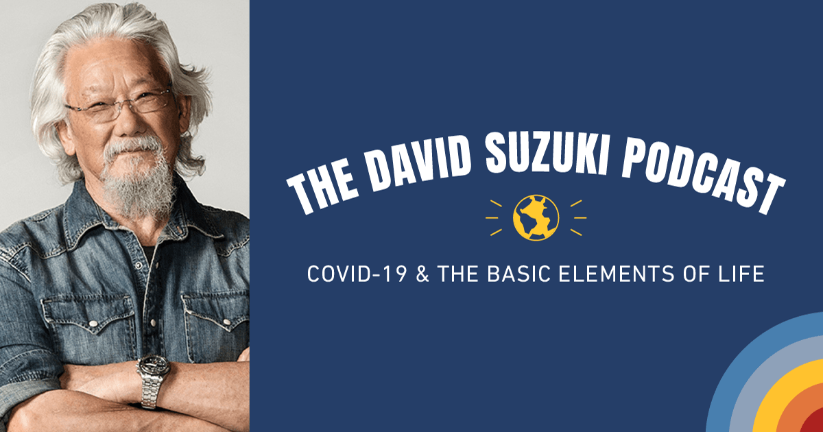 The David Suzuki Podcast David Suzuki Foundation