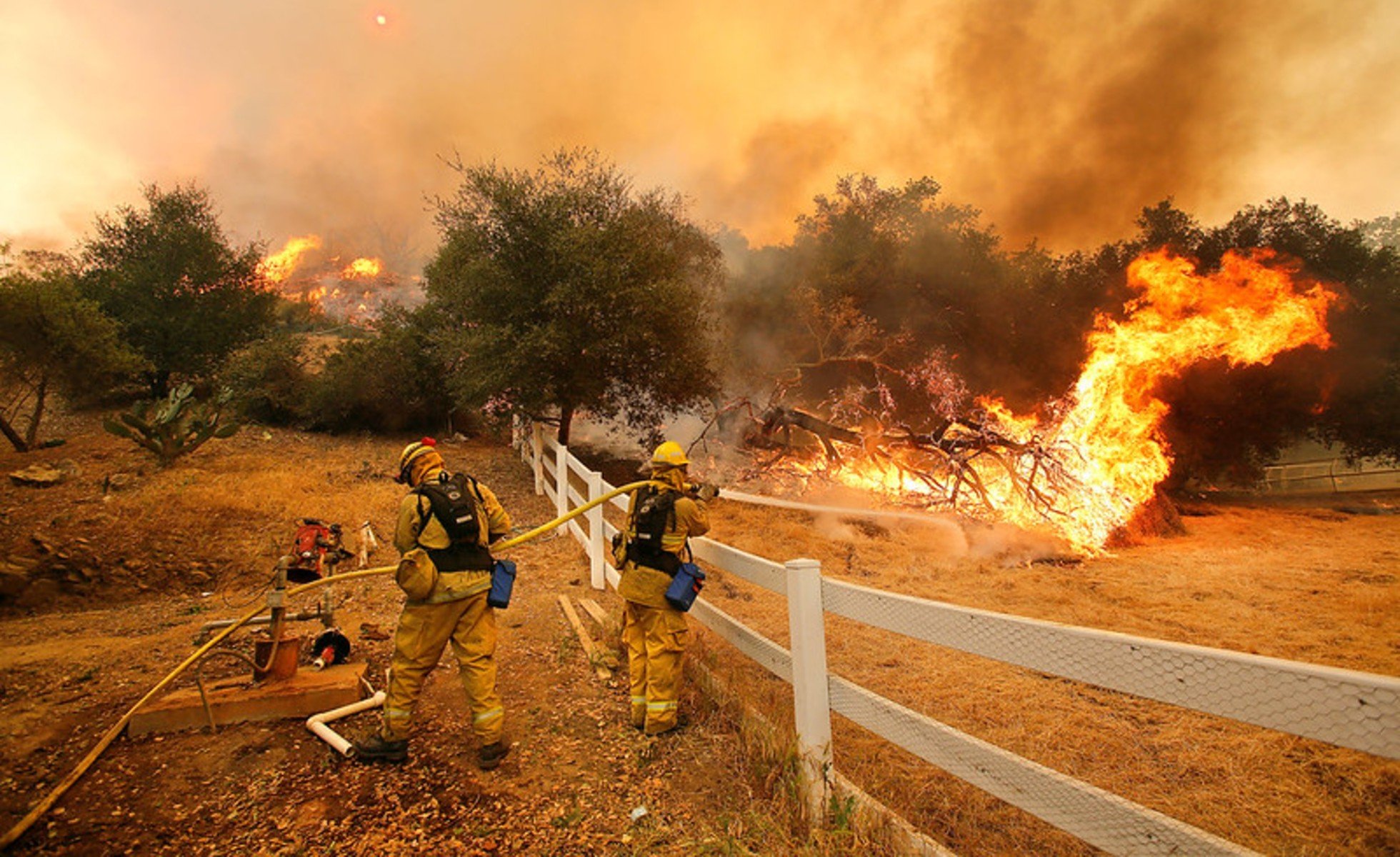 Firefighters fighting California