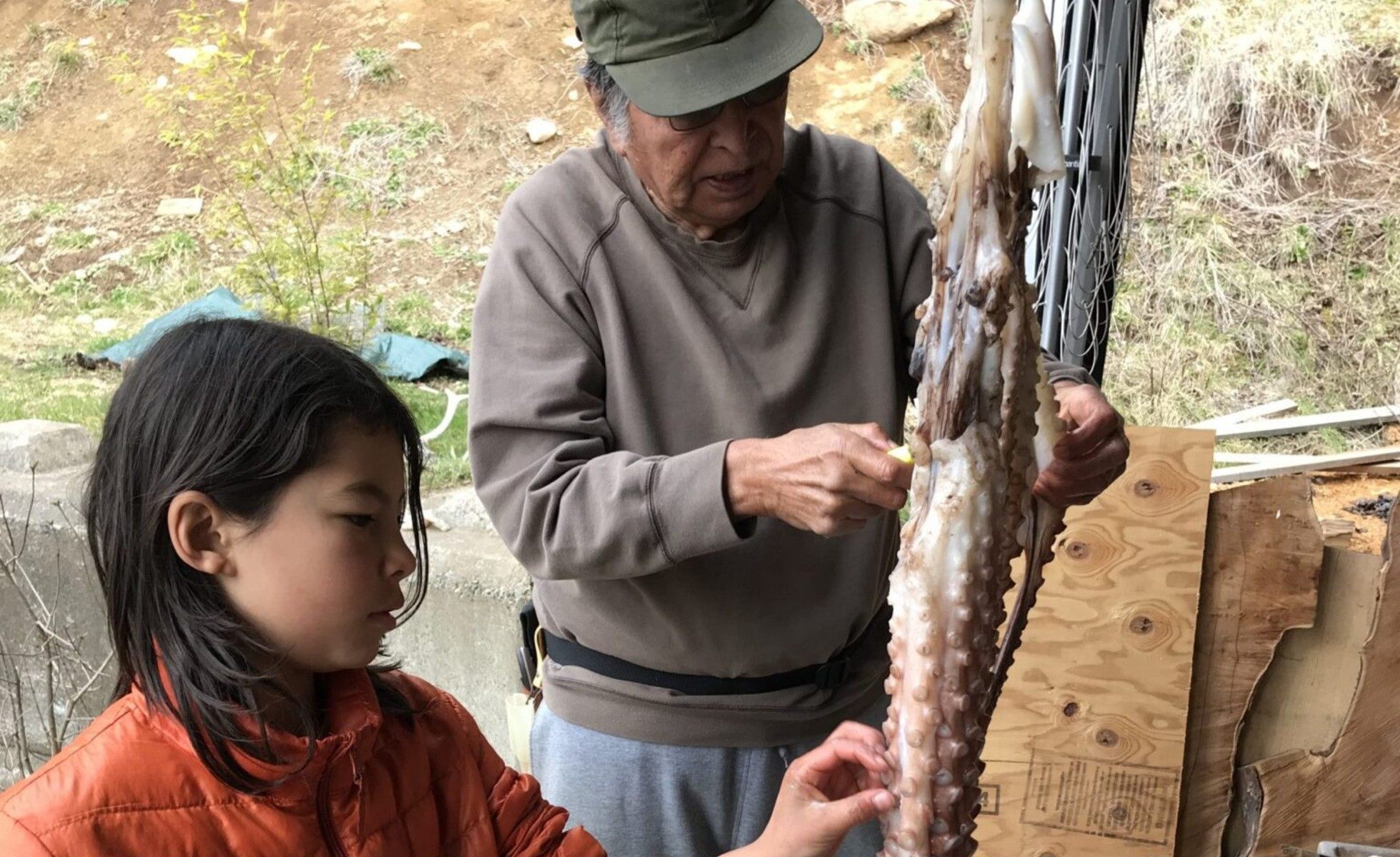 Chinaay Grandfather Gangxwaat Dull Brown shows his grandson Ganhlaans how to skin an octopus.