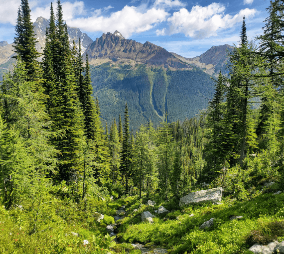 Nature Directed Stewardship