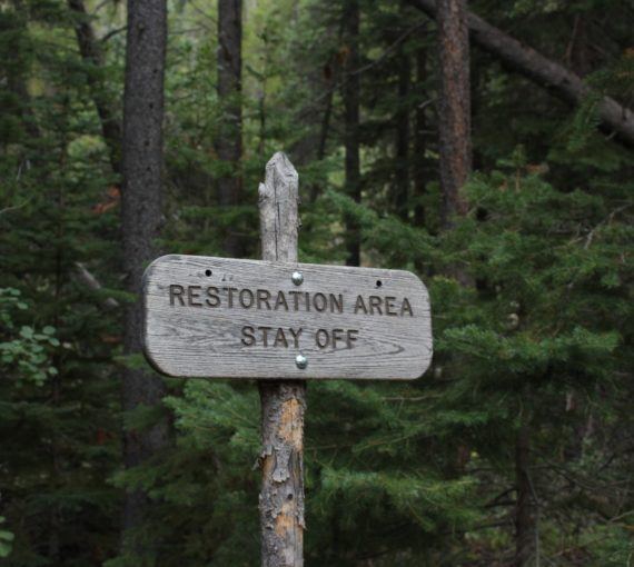 Restoration sign in park