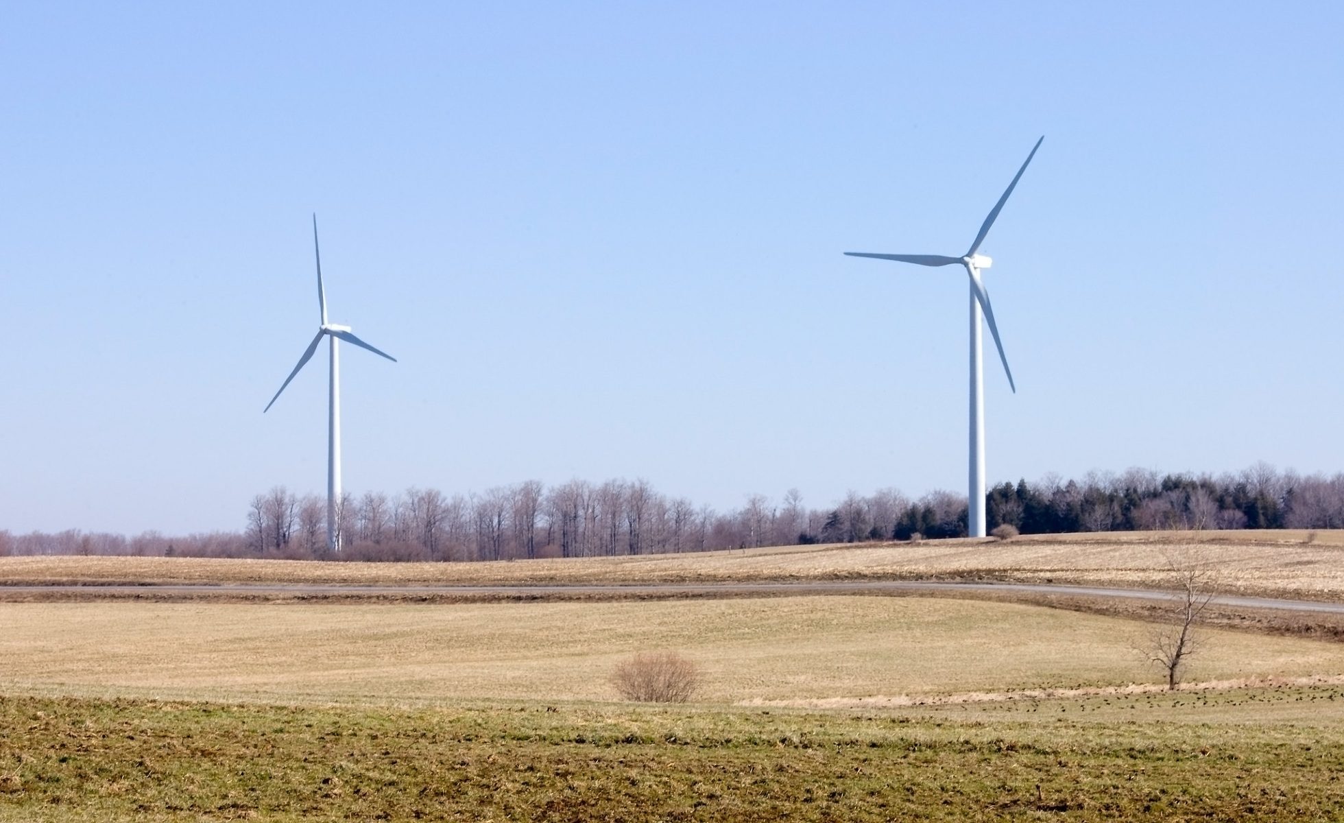 Two windmills in an open field under a blue sky