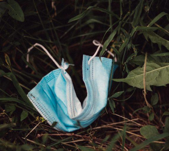 Disposable medical mask littered on green foliage
