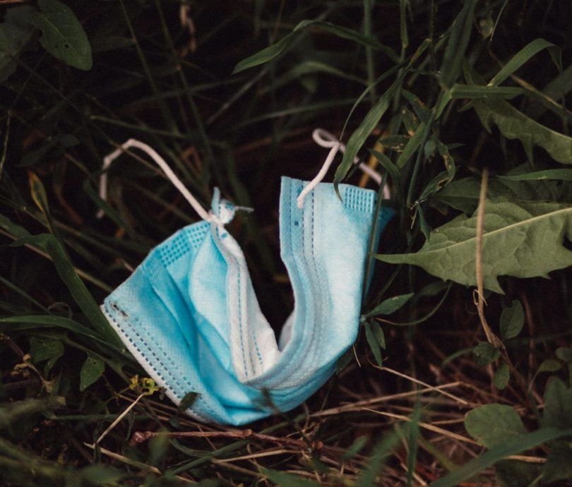 Disposable medical mask littered on green foliage