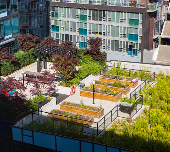 Urban rooftop gardening