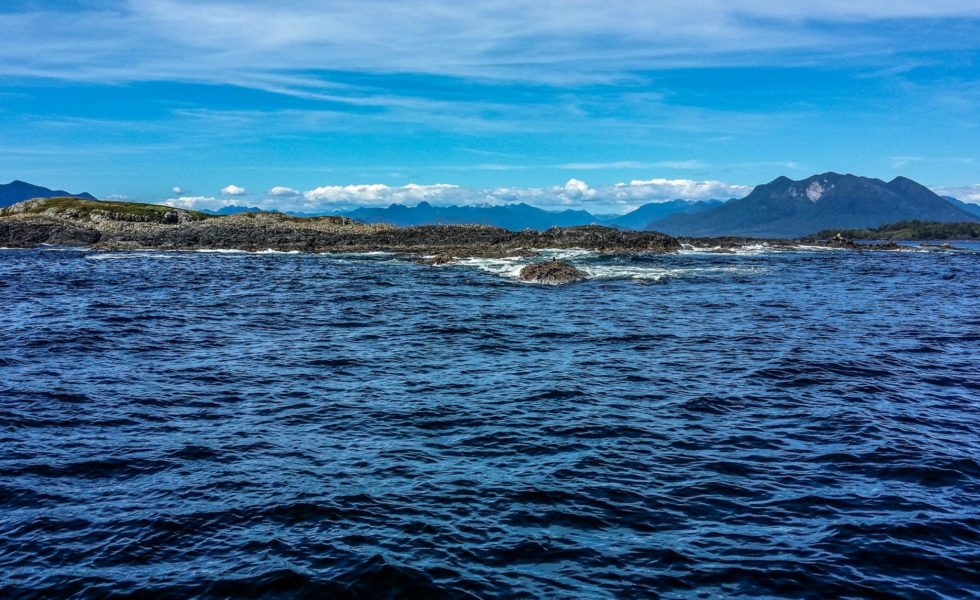 We need a ‘blue’ economy to revive our ailing oceans - David Suzuki
