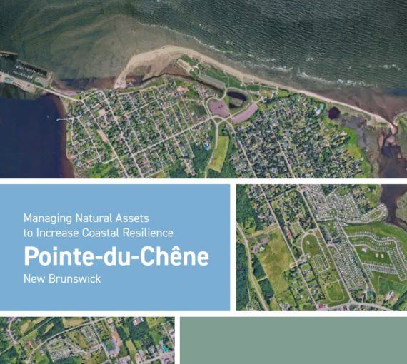 Managing Natural Assets to Increase Coastal Resilience, Pointe-du-Chêne, New Brunswick