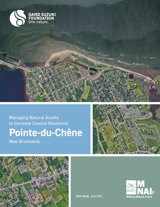 Managing Natural Assets to Increase Coastal Resilience, Pointe-du-Chêne, New Brunswick