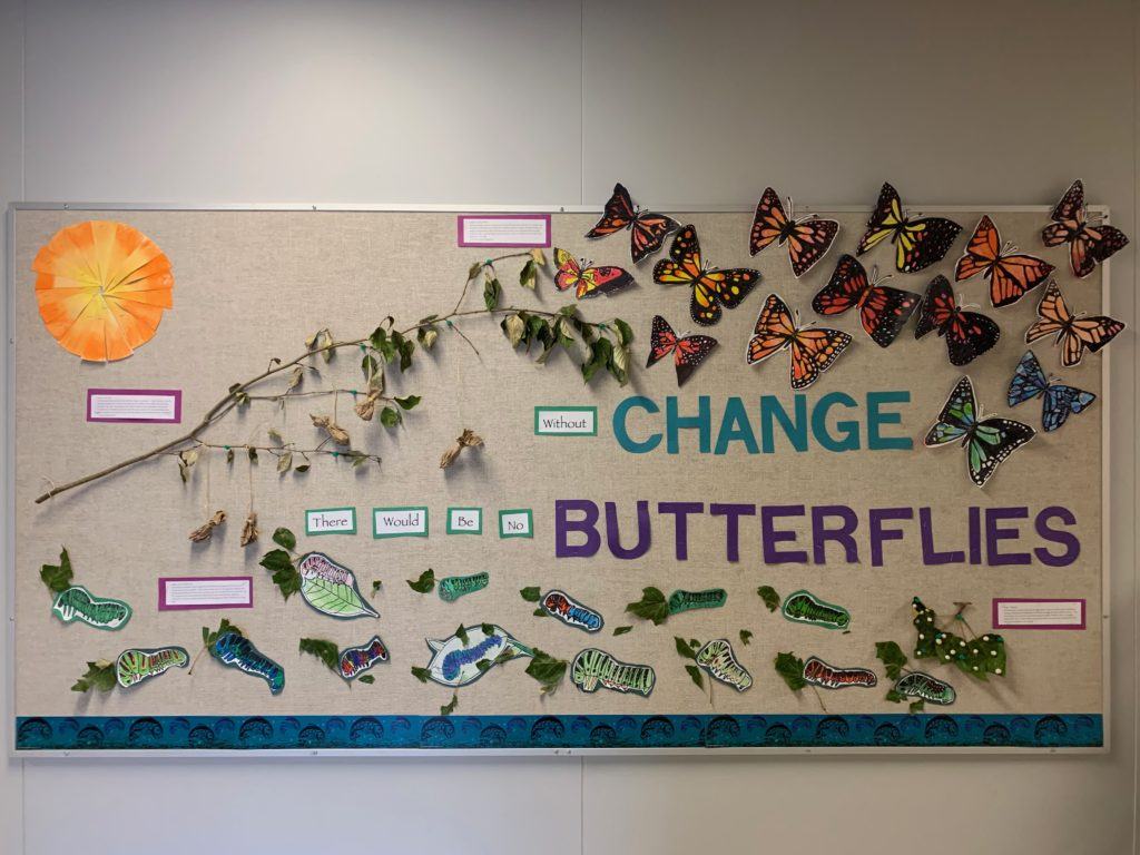 Butterfly poster at an elementary school